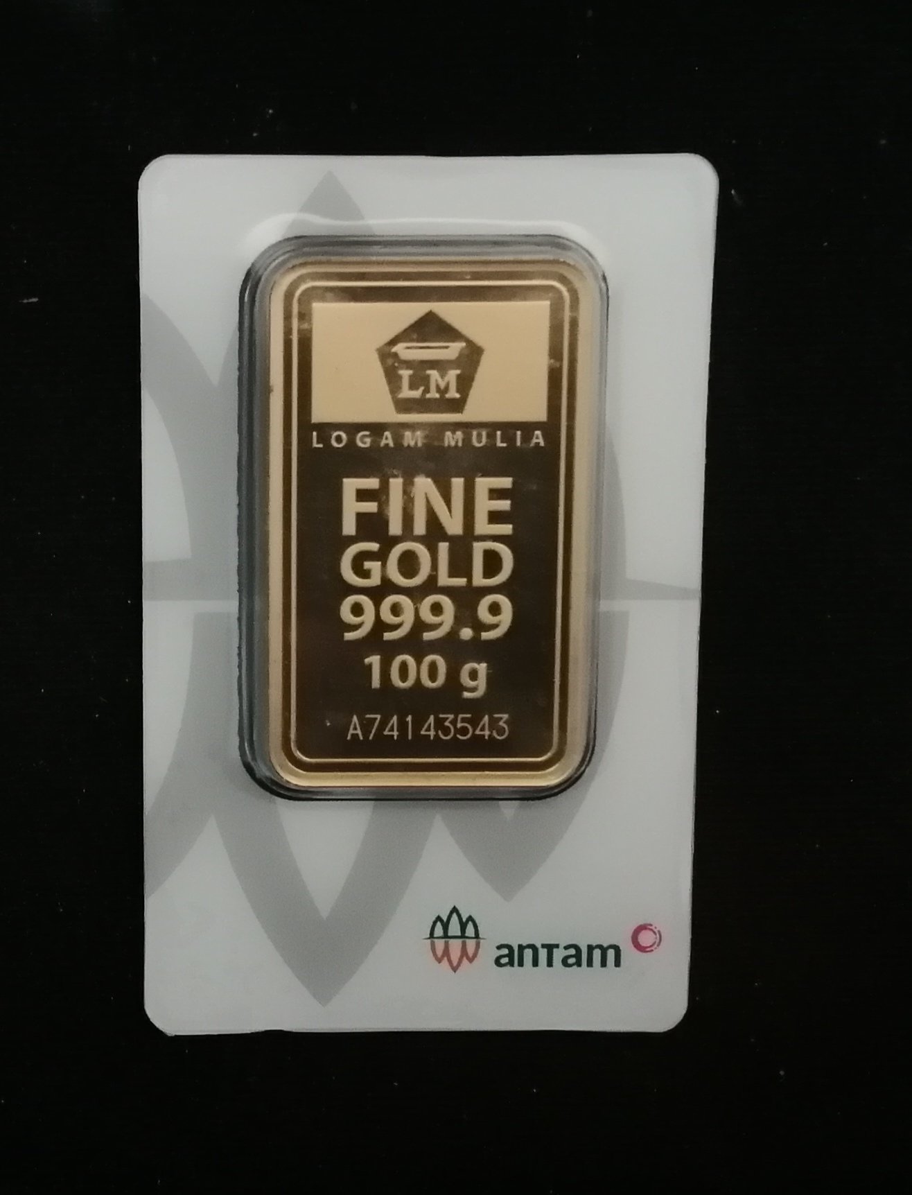 ANTAM 2024