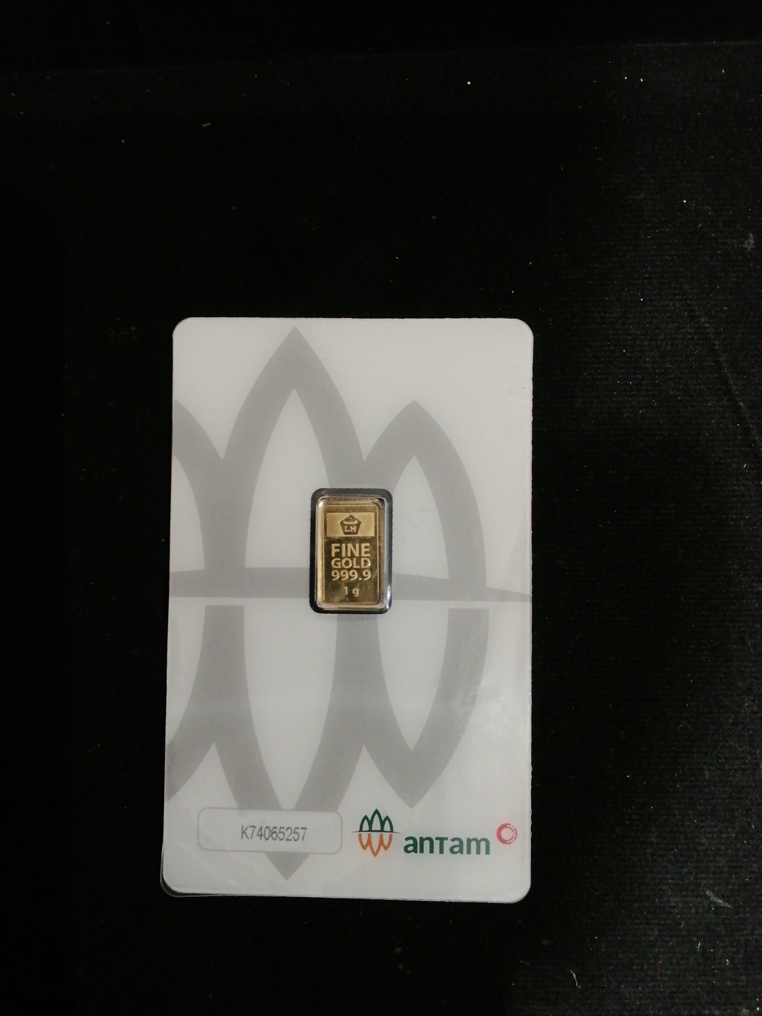 ANTAM 2024