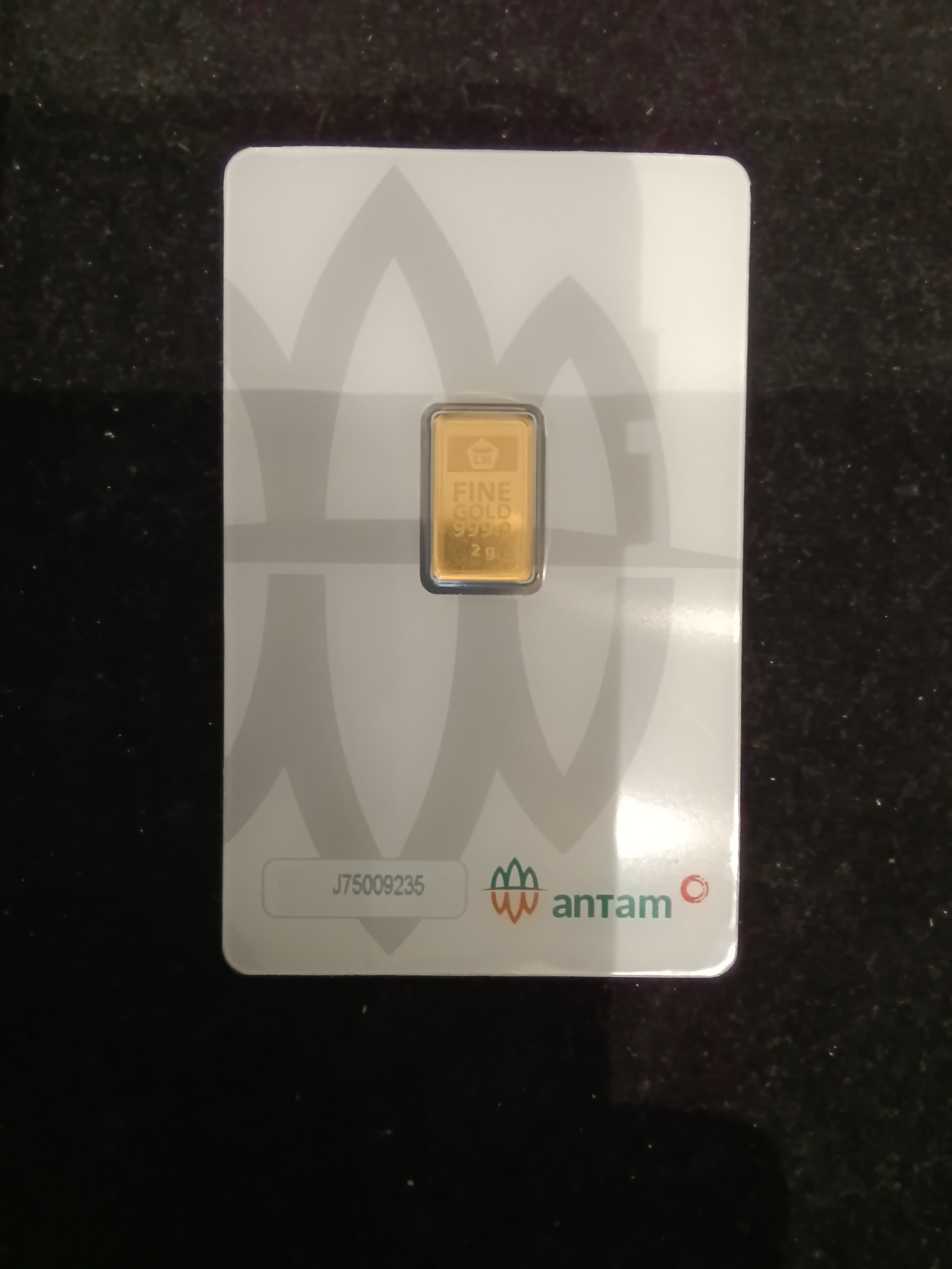 ANTAM 2025