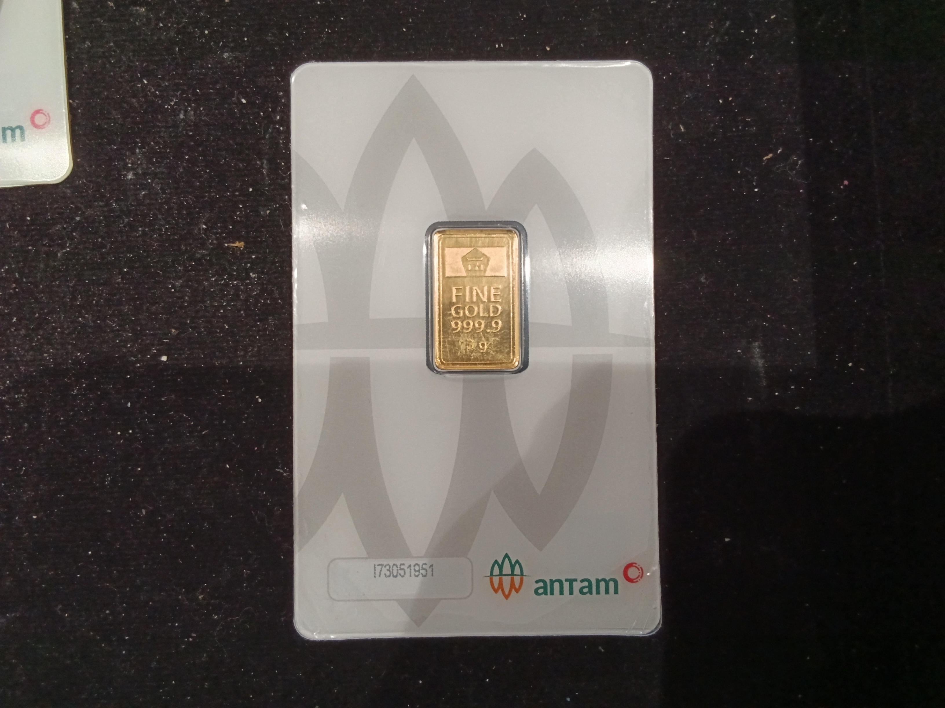 ANTAM 2024